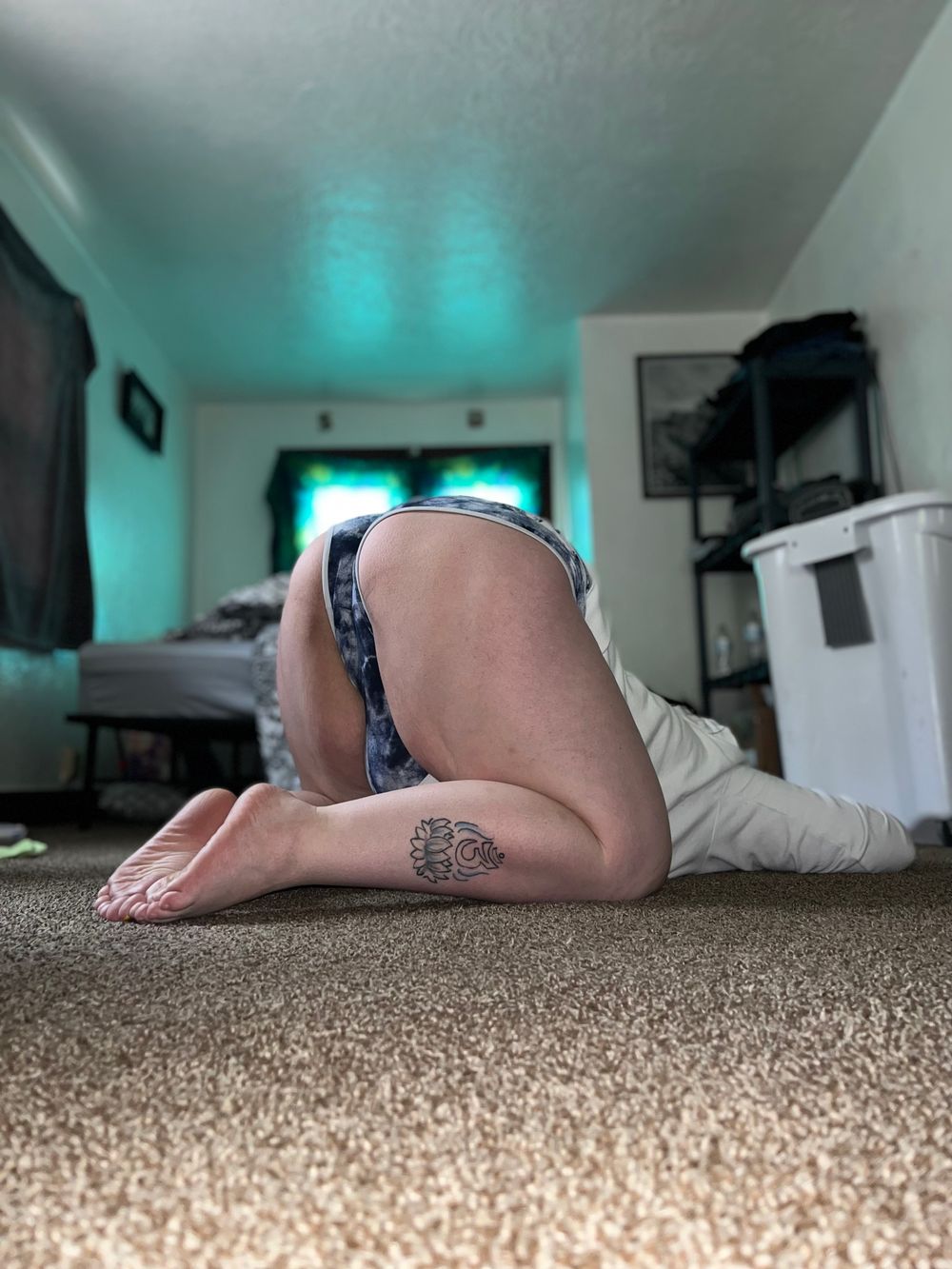 majesticshelbss OnlyFans profile picture