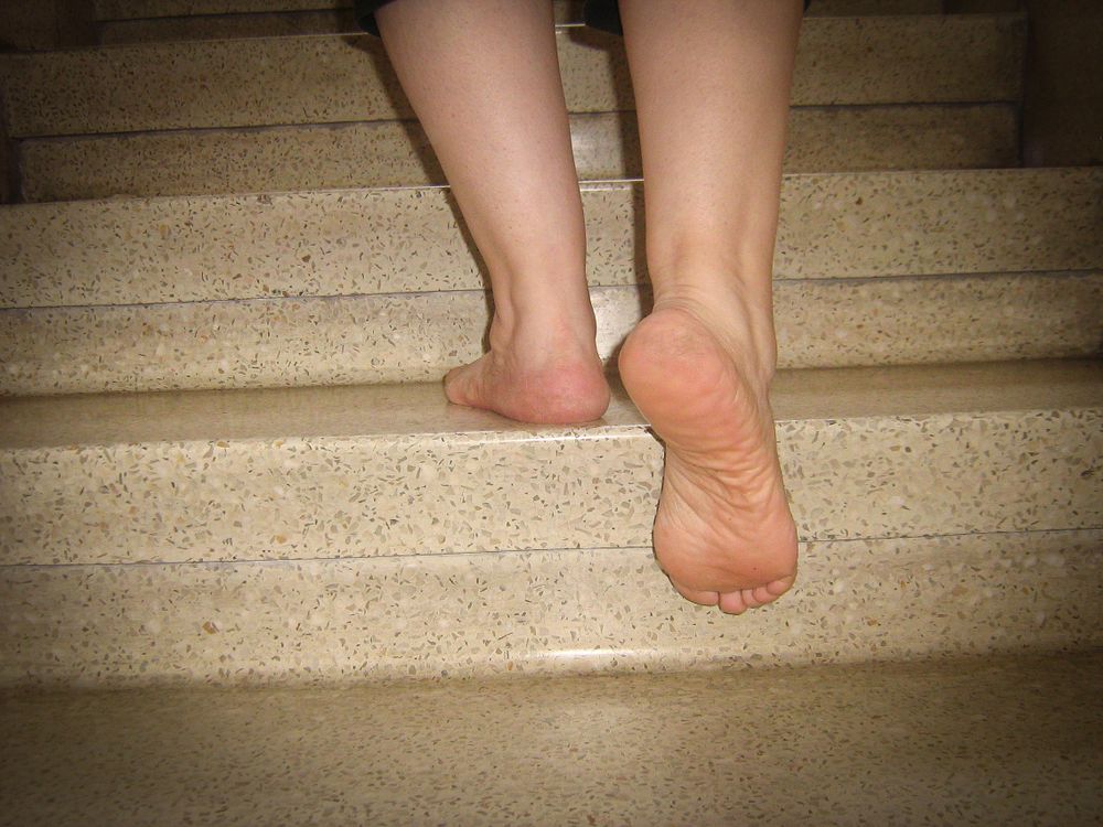 feetaudience OnlyFans profile picture