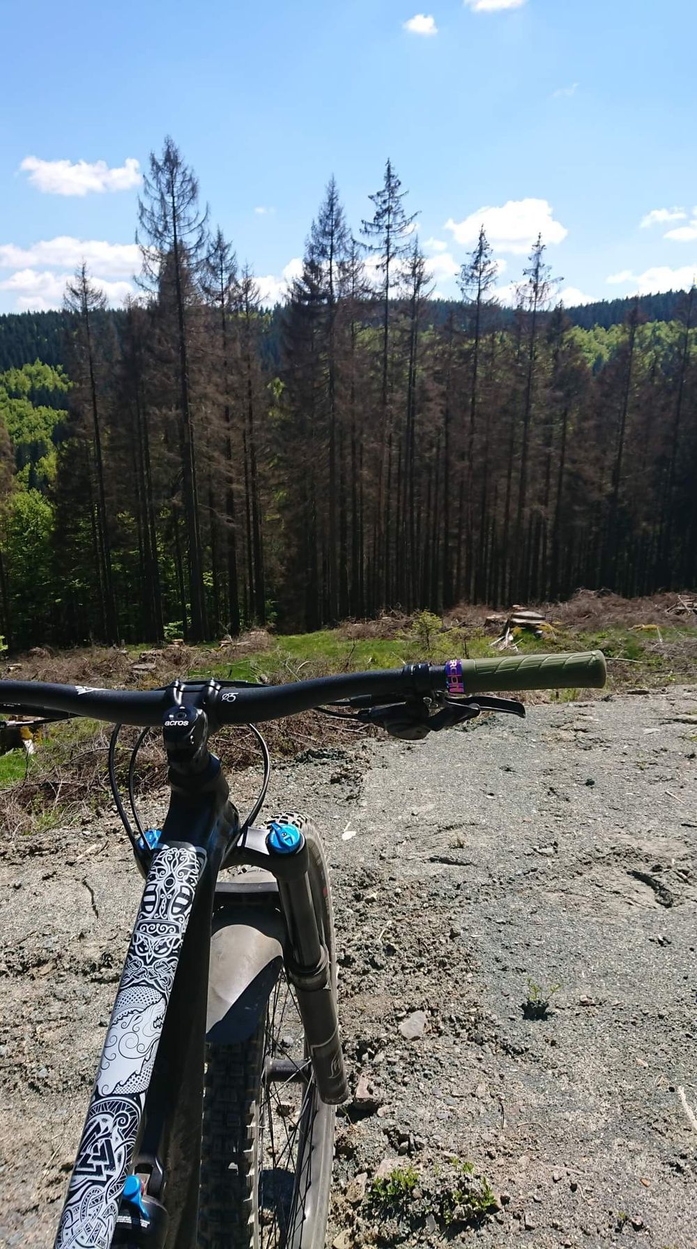 luna_mtb OnlyFans profile picture