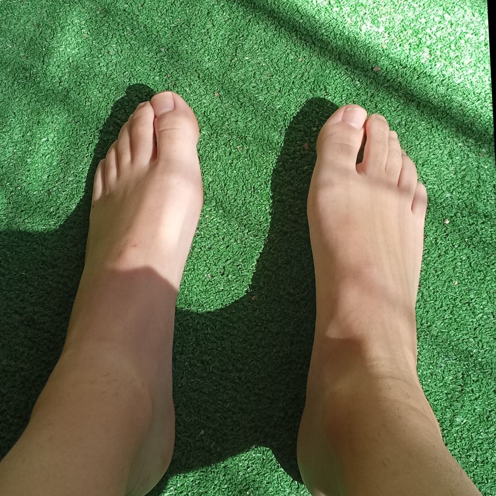 piespiespiesfeets OnlyFans profile picture