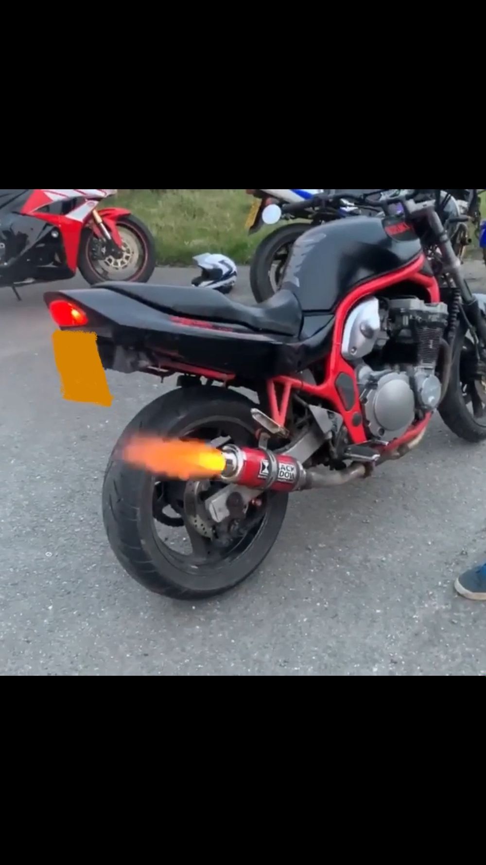 bighornybiker OnlyFans profile picture