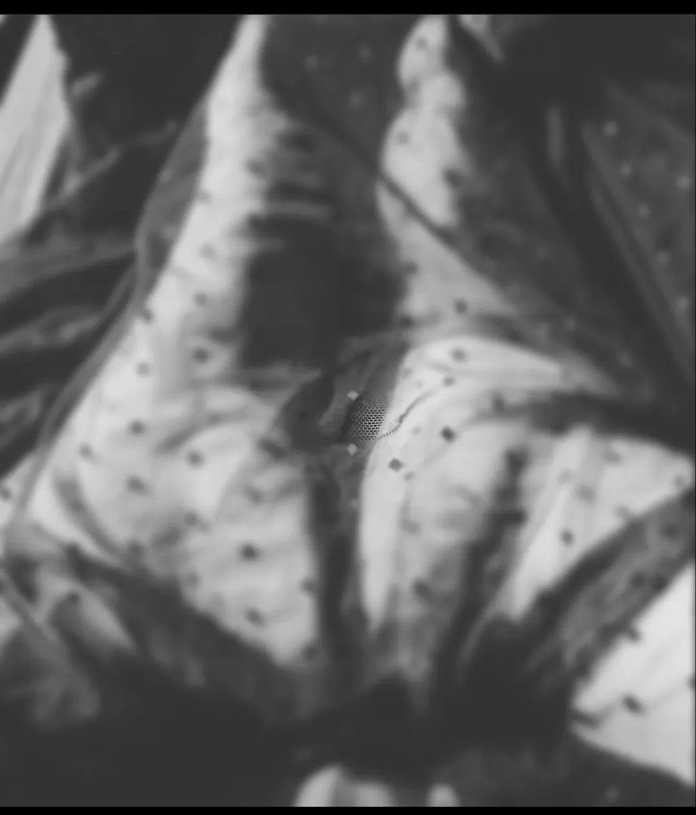 bbwprincess36 OnlyFans profile picture