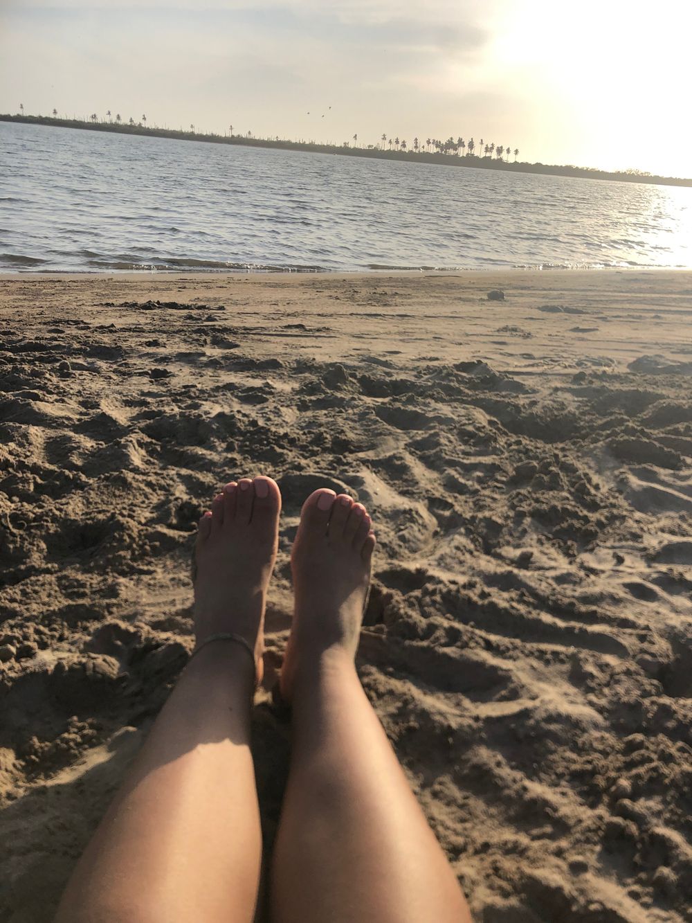 aurorav56981455 OnlyFans profile picture