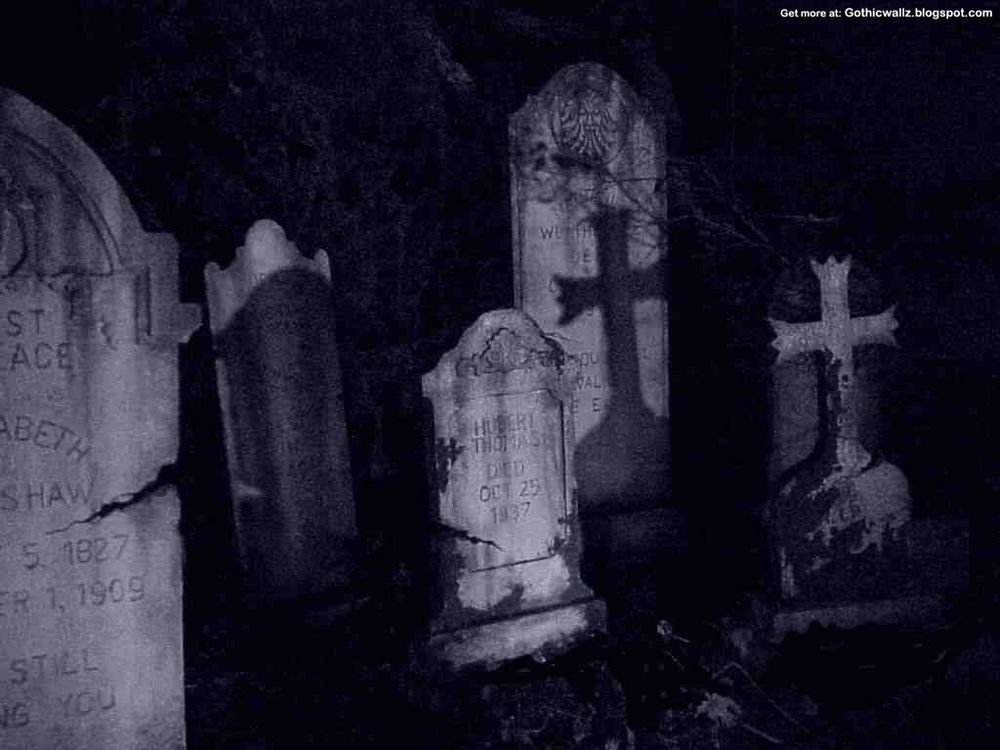 frights666 OnlyFans profile picture