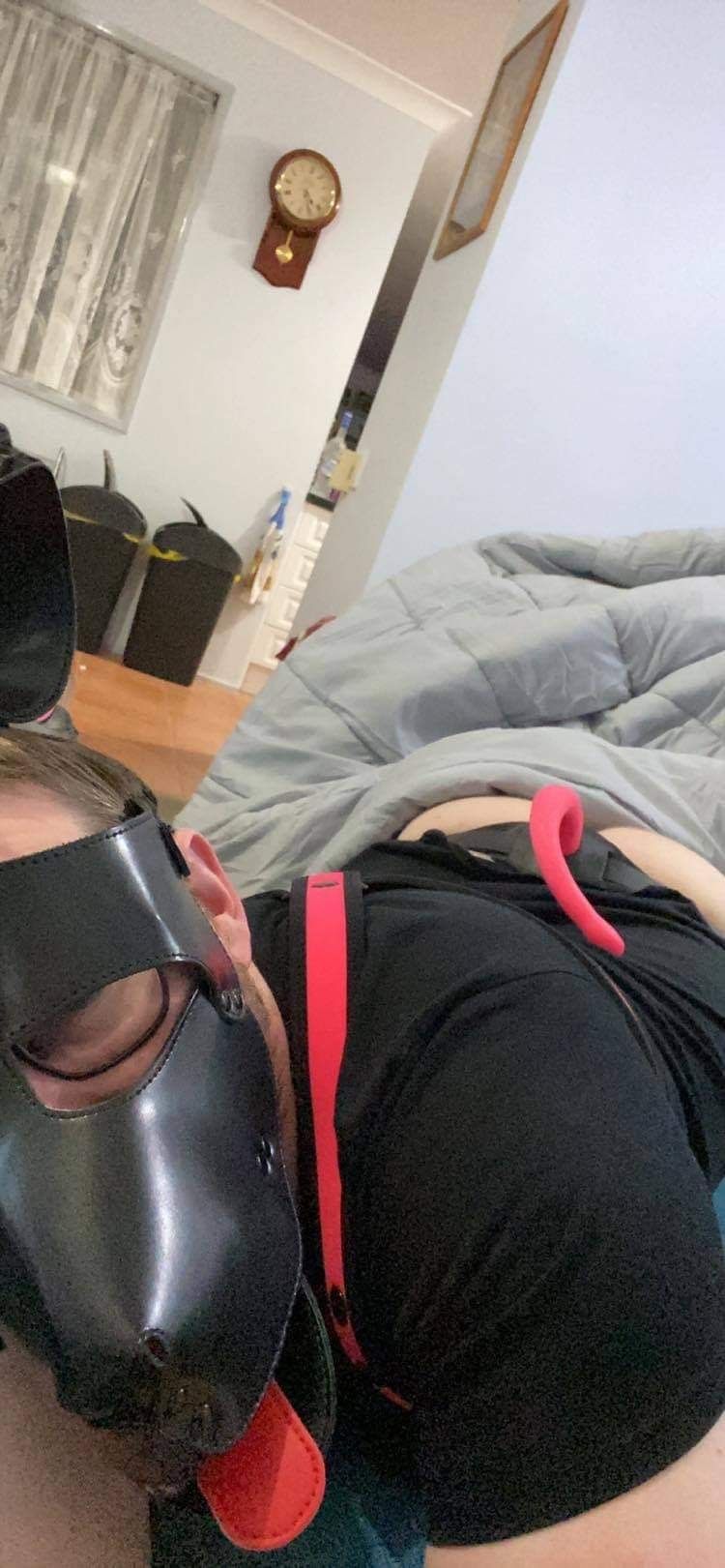 pup_gizmi OnlyFans profile picture