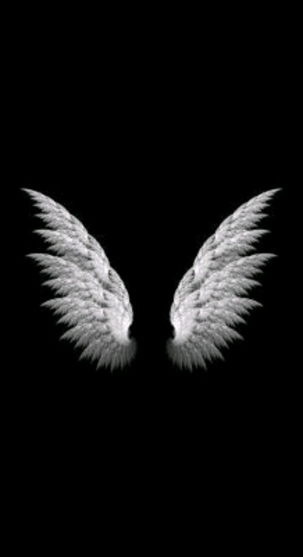 fran_1304 OnlyFans profile picture