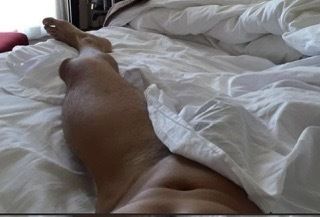 morenodorado OnlyFans profile picture
