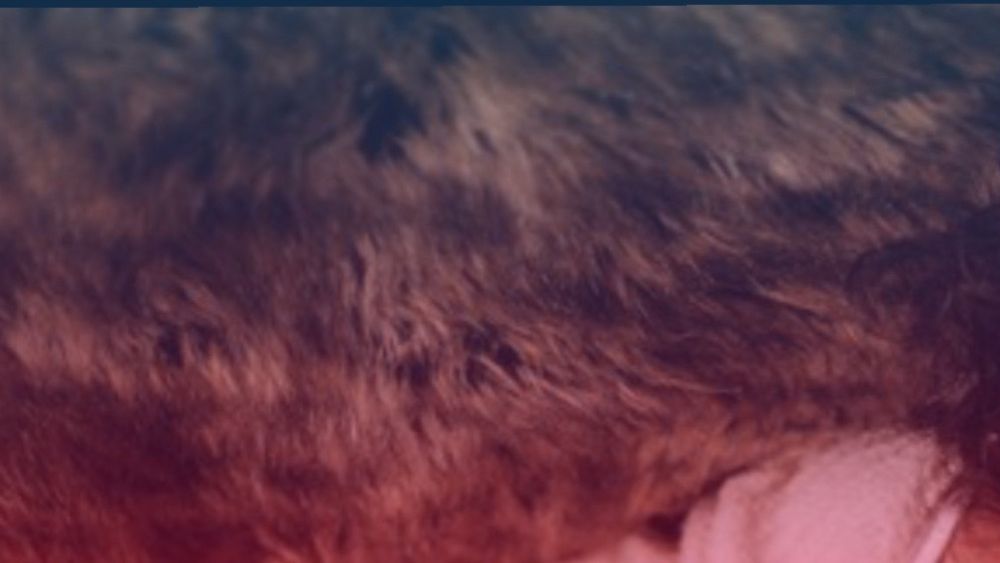 aloragabe OnlyFans profile picture