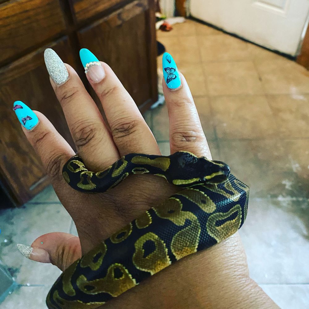juicyshante OnlyFans profile picture