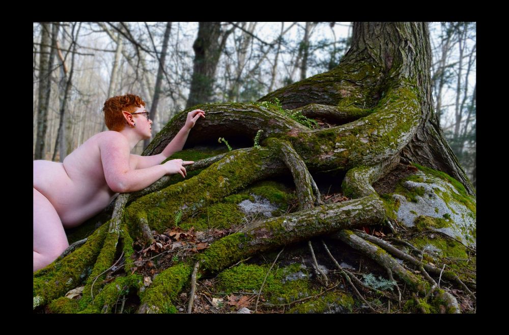 sluttubus OnlyFans profile picture