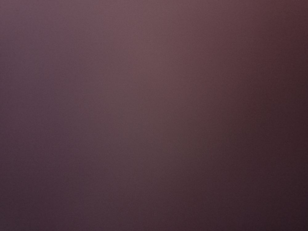 u244931527 OnlyFans profile picture