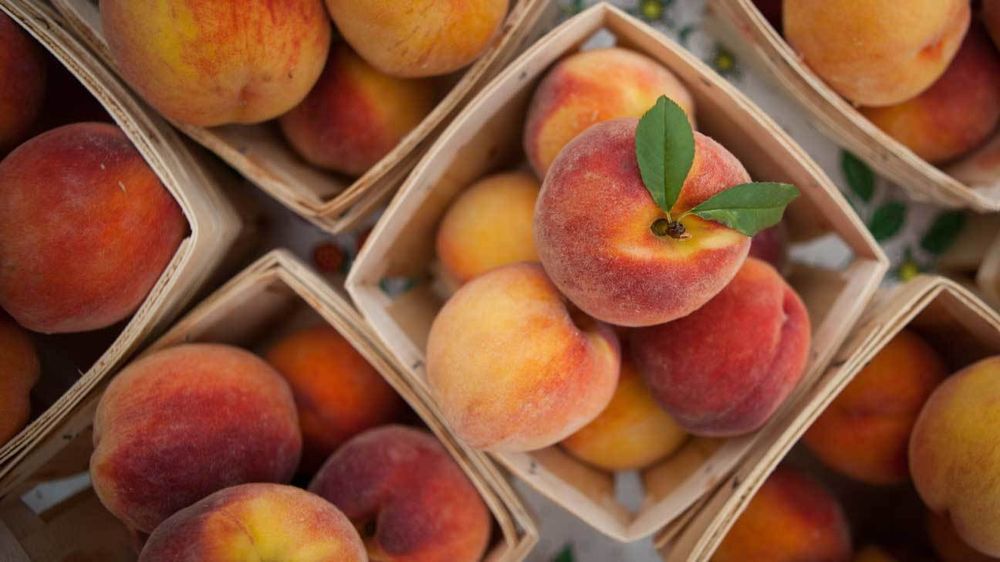 peachszn OnlyFans profile picture