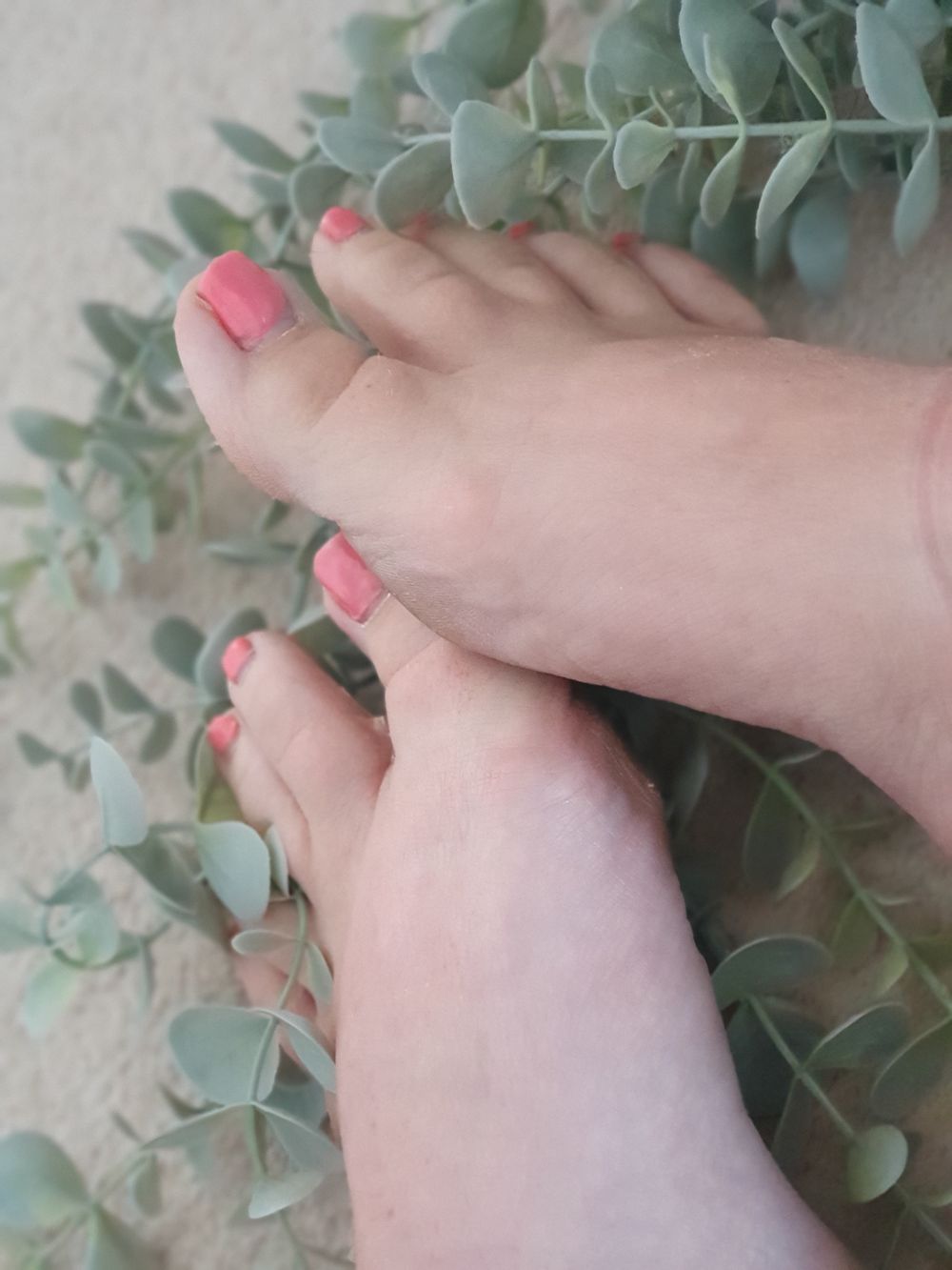 amie-xox OnlyFans profile picture