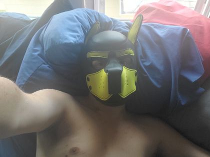 pup-squishy OnlyFans picture
