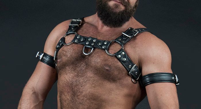 siriusmuscledog OnlyFans profile picture