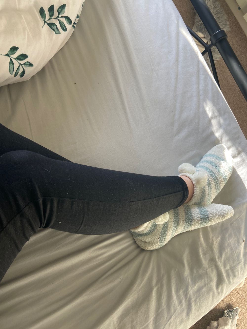 shaunaoneill017 OnlyFans profile picture