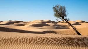 bellahabiba OnlyFans profile picture