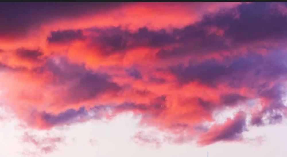 aesthetic5lifer OnlyFans profile picture