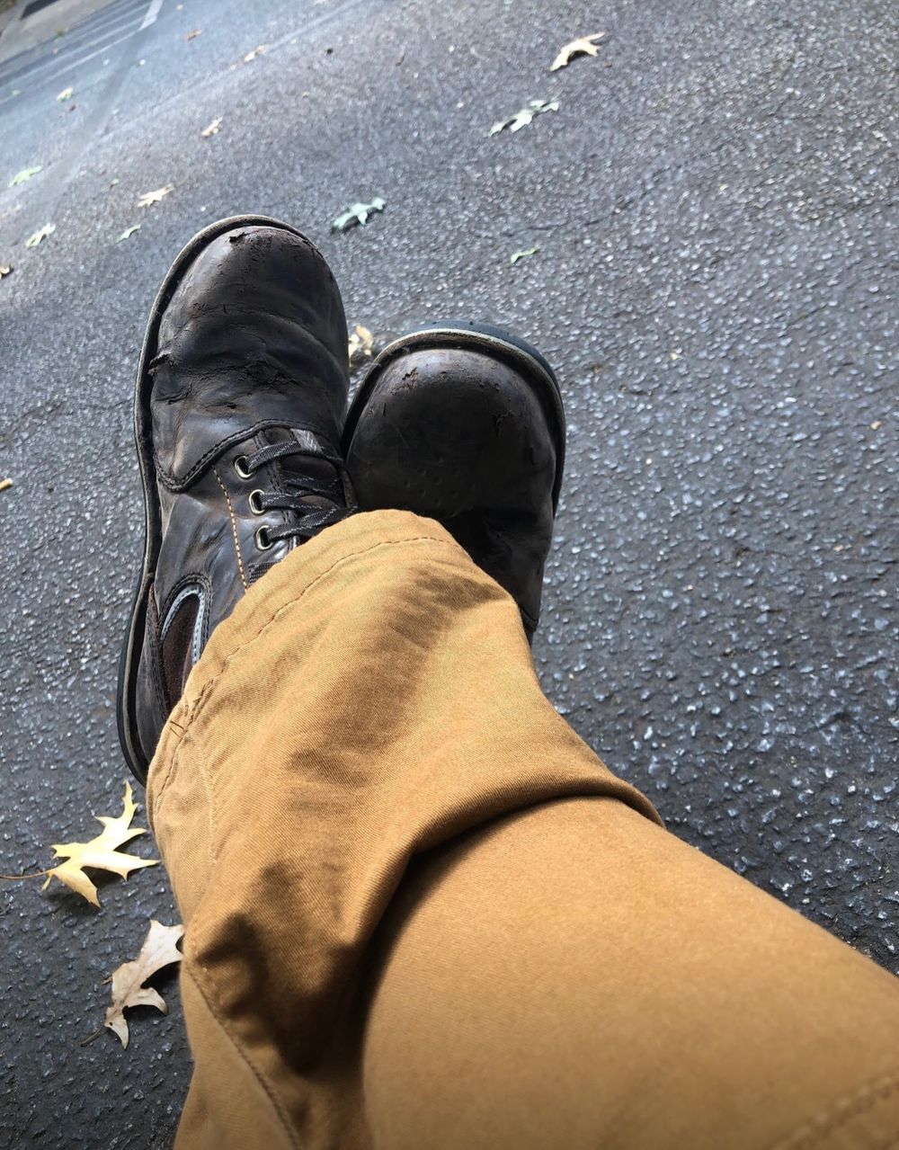 petitefeetle OnlyFans profile picture
