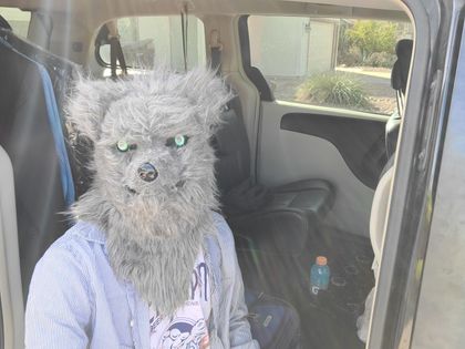 travelingswampwizard OnlyFans picture