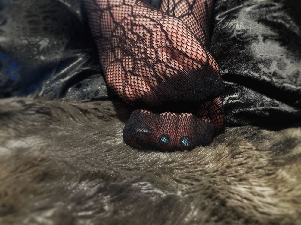 pedipunk OnlyFans profile picture