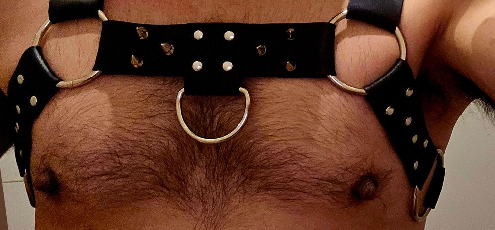 dutchbiguy1 OnlyFans profile picture