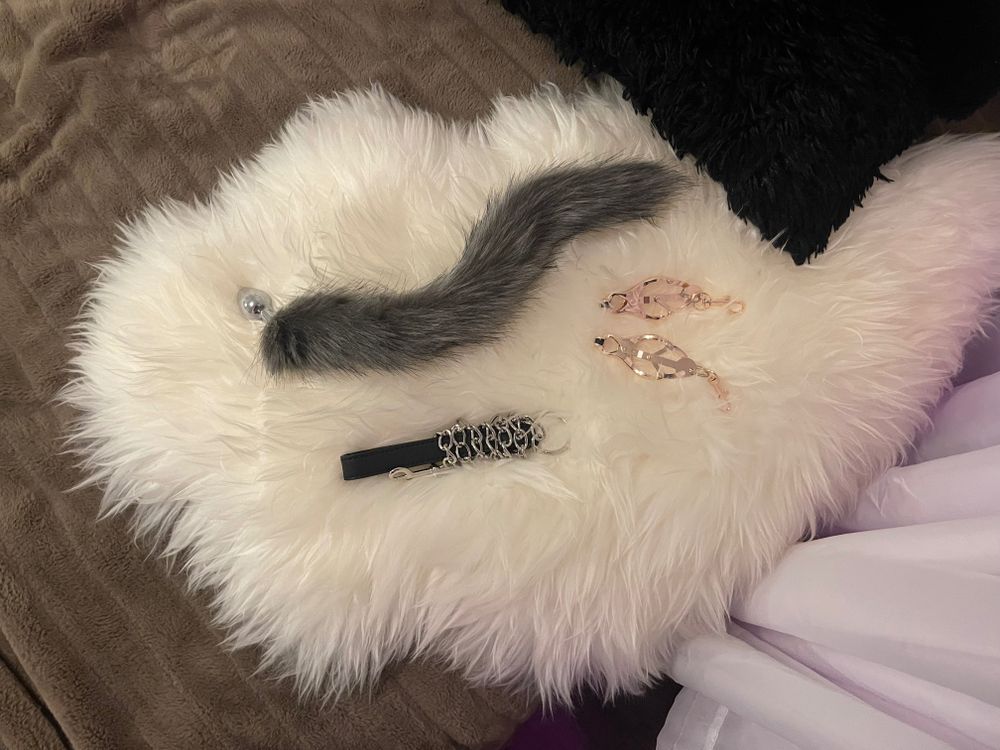 taco_bella OnlyFans profile picture