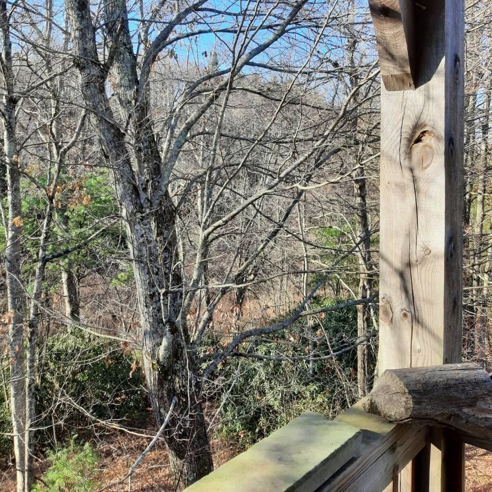 queerappalachian OnlyFans profile picture