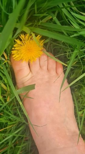 fetdomme OnlyFans profile picture