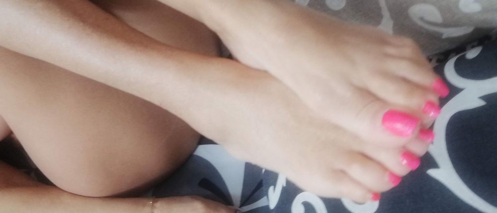 notonlylady OnlyFans profile picture