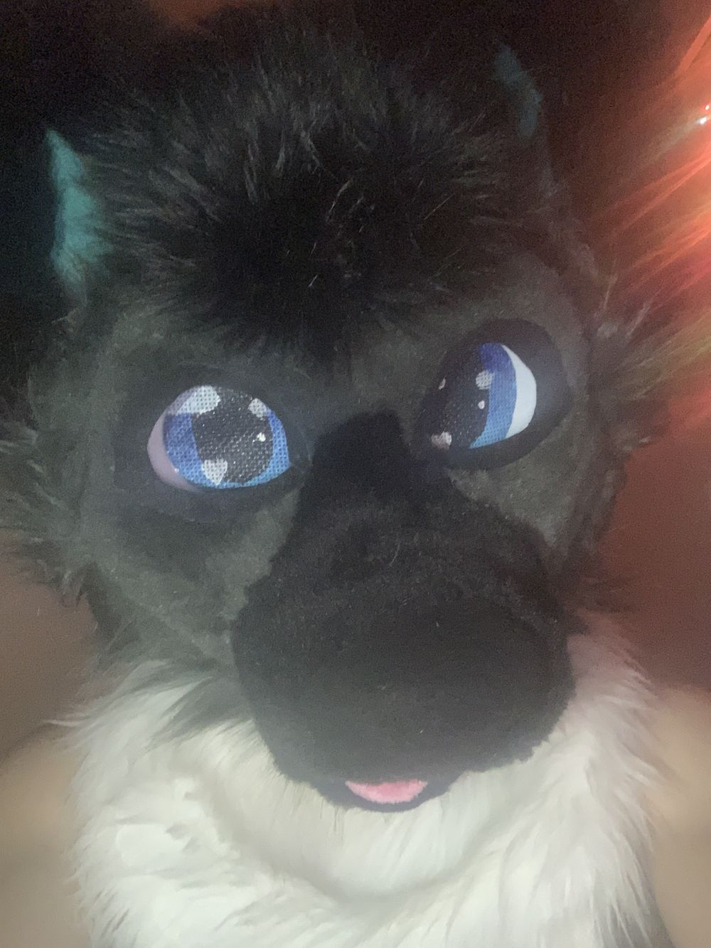 cyropaws OnlyFans profile picture