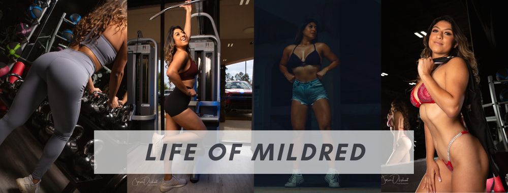 lifeofmilz OnlyFans profile picture