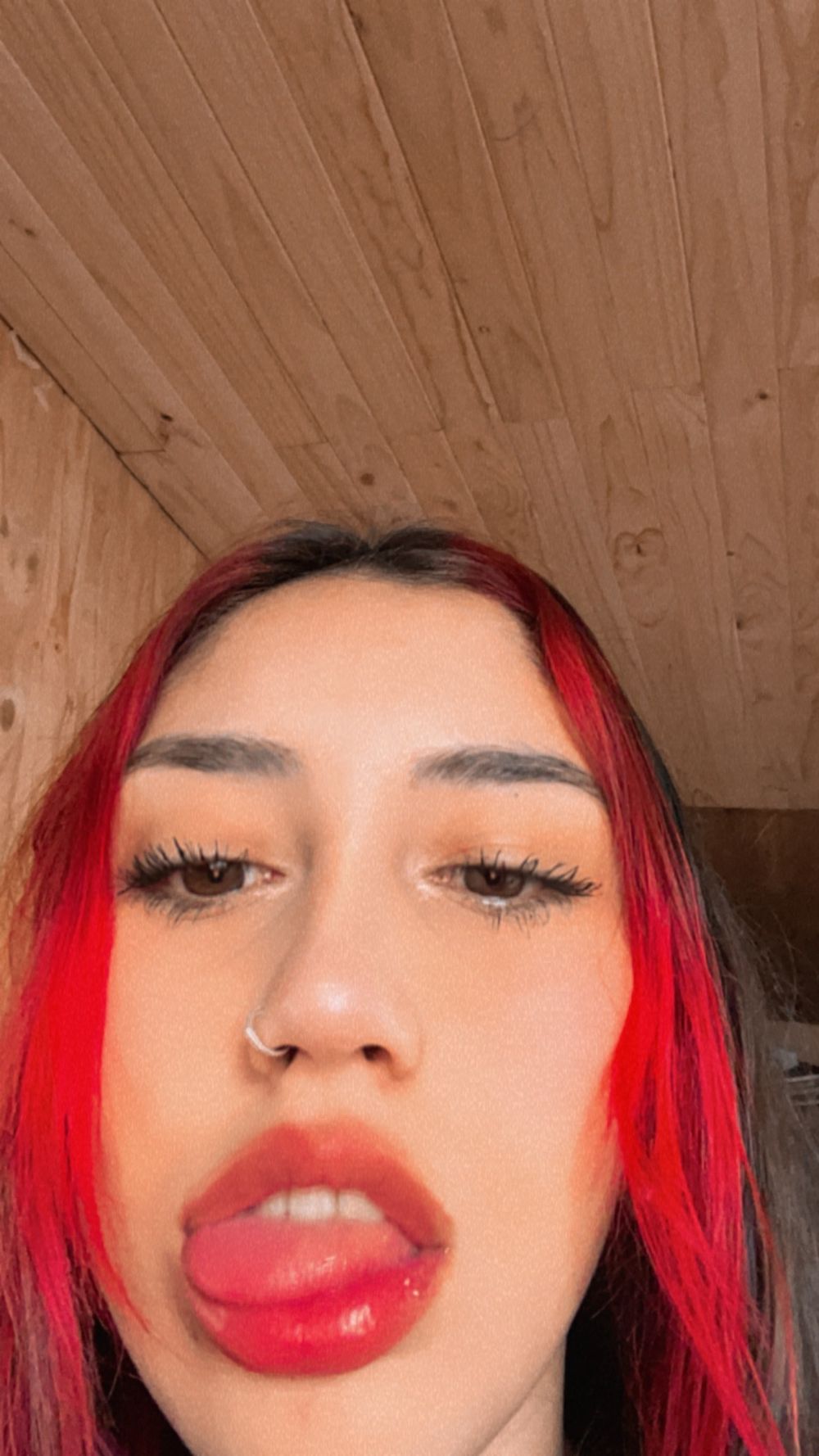 u221861687 OnlyFans profile picture