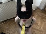 needysublustydom OnlyFans - Free Trial - Photos - Socials ...