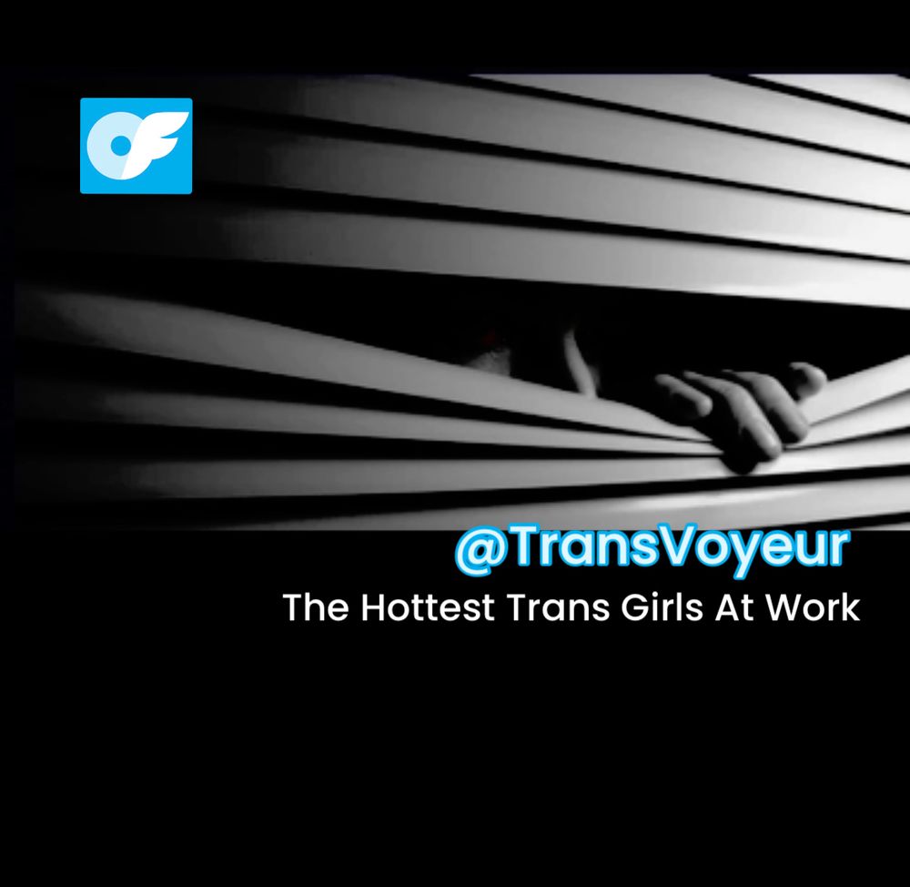 transvoyeur OnlyFans profile picture