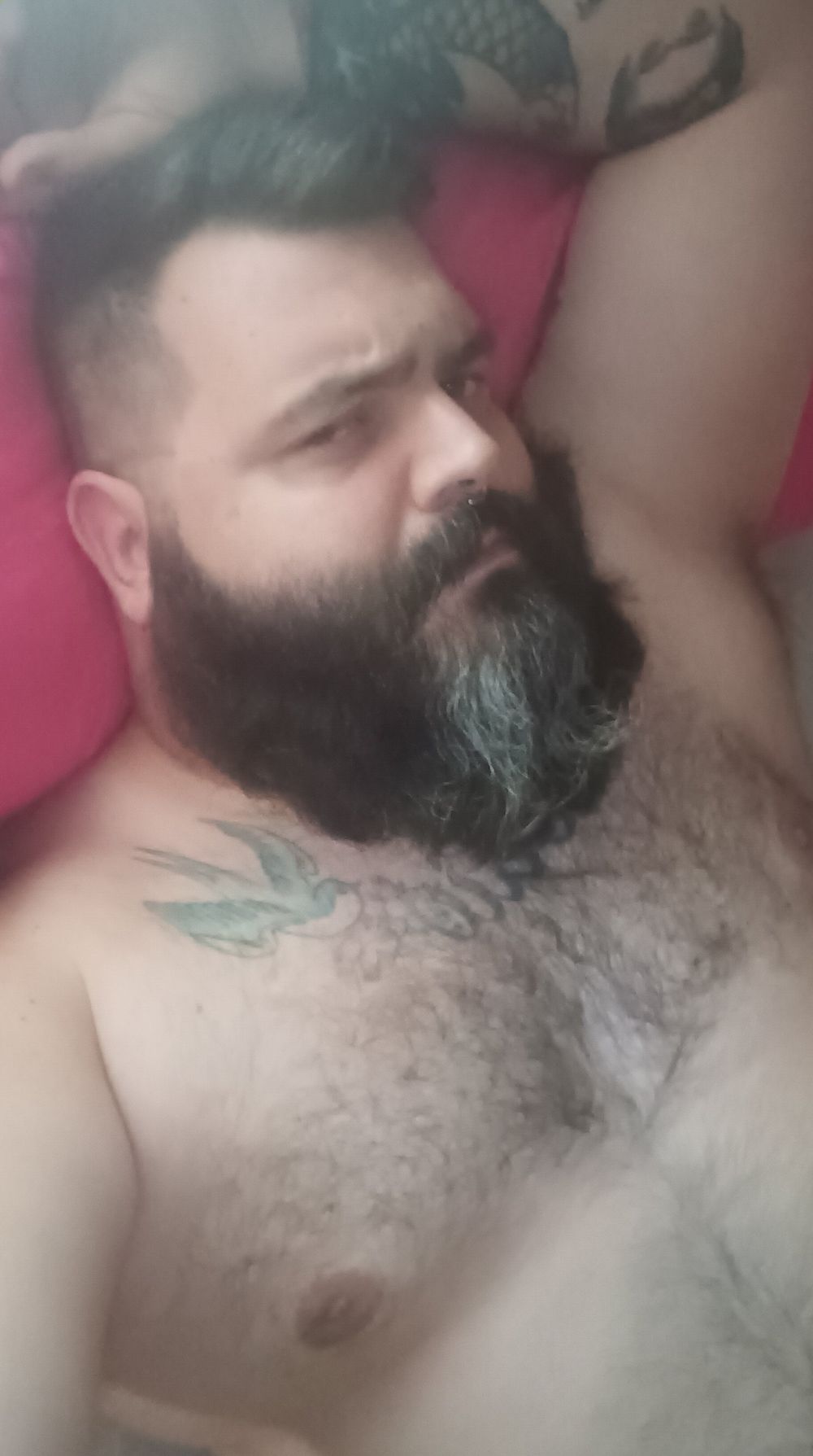 sergibear OnlyFans profile picture