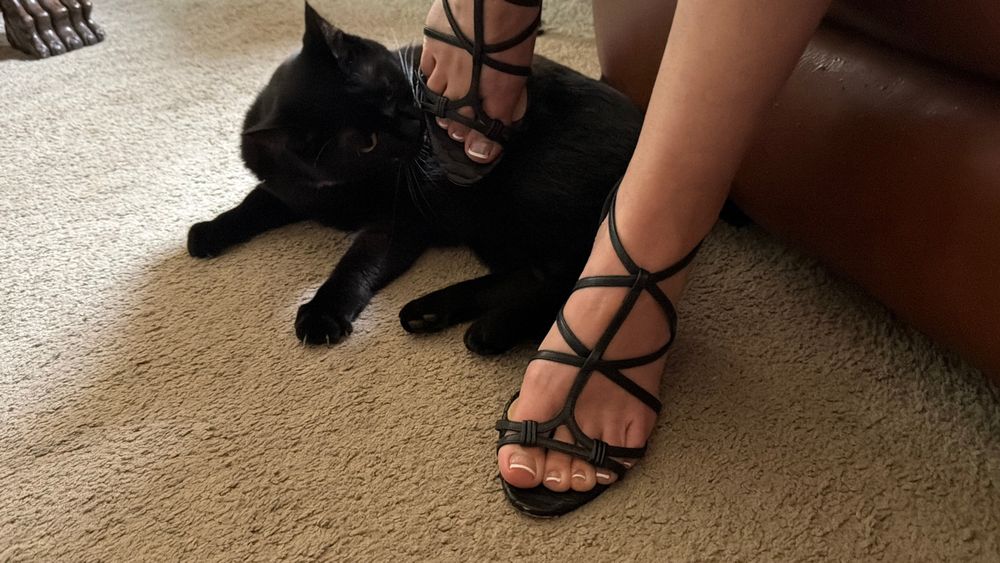 pnwfootgirls777 OnlyFans profile picture