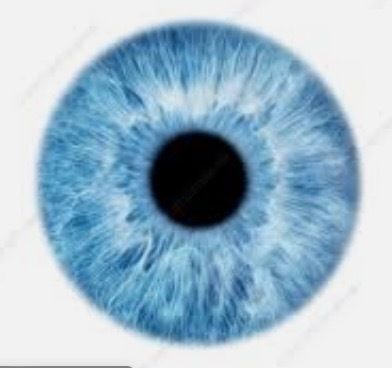 blueyes430 OnlyFans profile picture