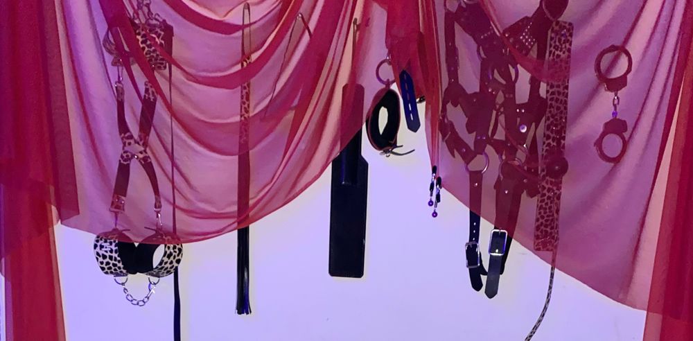 sentientai OnlyFans profile picture