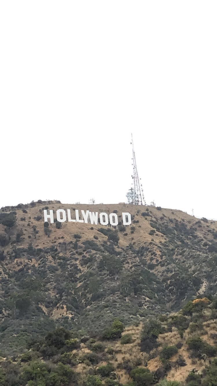 avief OnlyFans profile picture