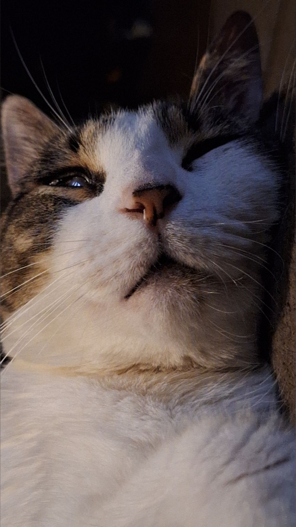 funkywhiteboi OnlyFans profile picture