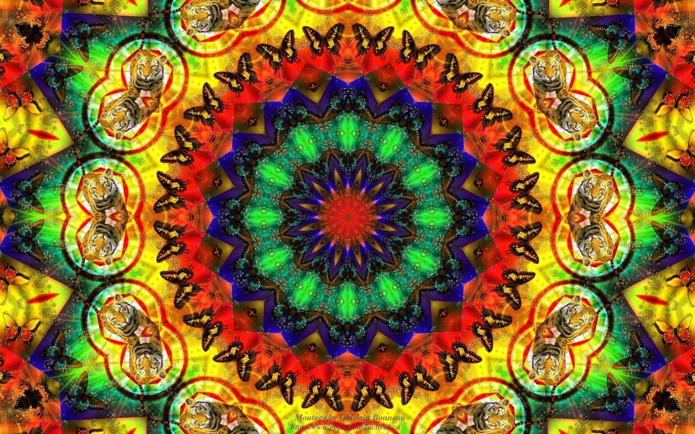 hippiebaby_720 OnlyFans profile picture