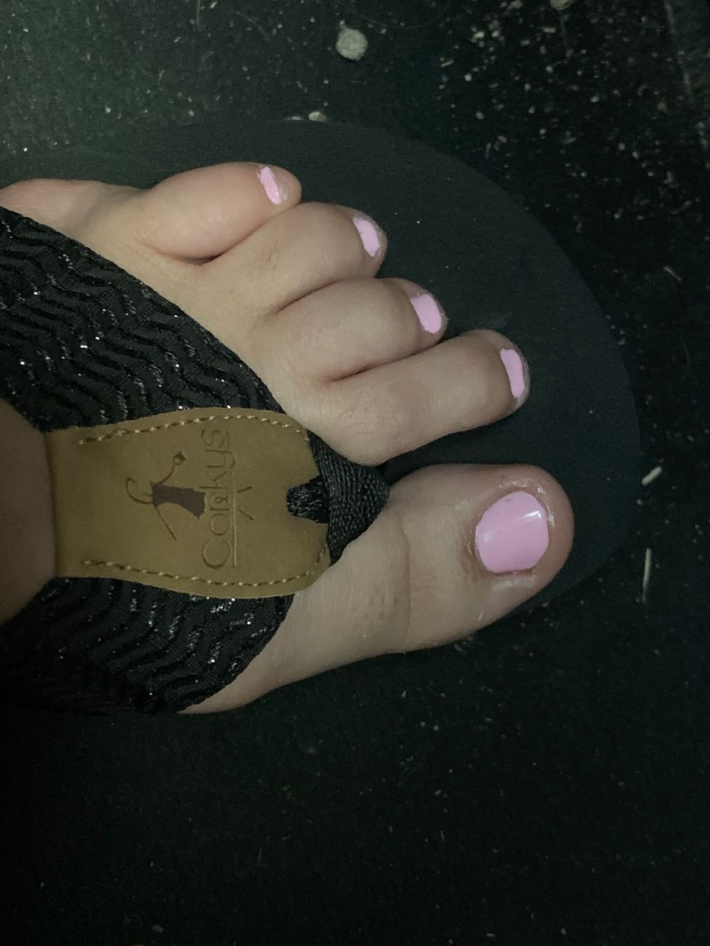 u163439299 OnlyFans profile picture