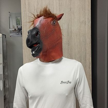 mrrhorse OnlyFans picture