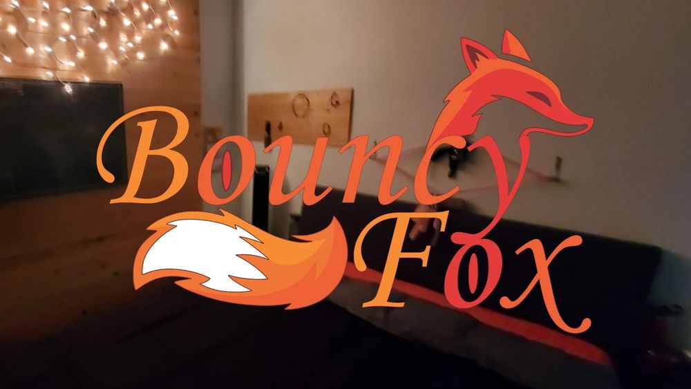 bouncyfox OnlyFans profile picture