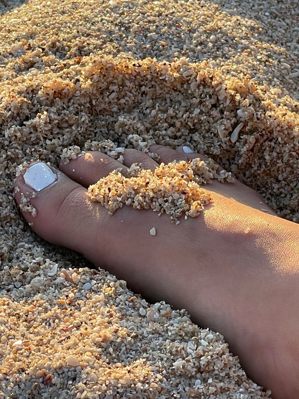 travelingsexyfeet OnlyFans profile picture