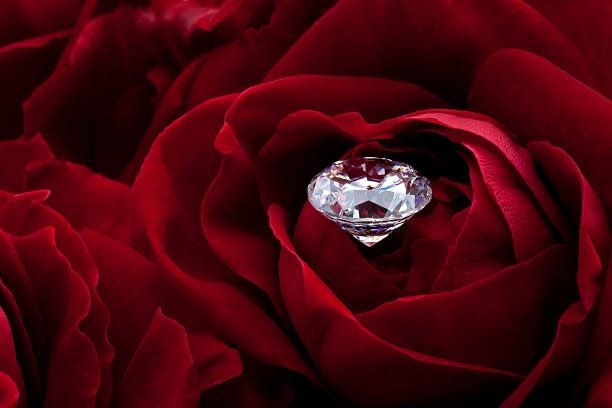 reddiamondrose OnlyFans profile picture