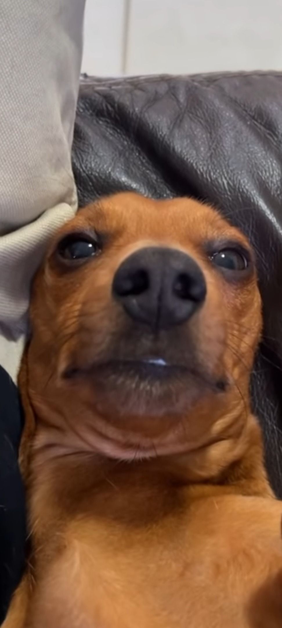rip_morales OnlyFans profile picture