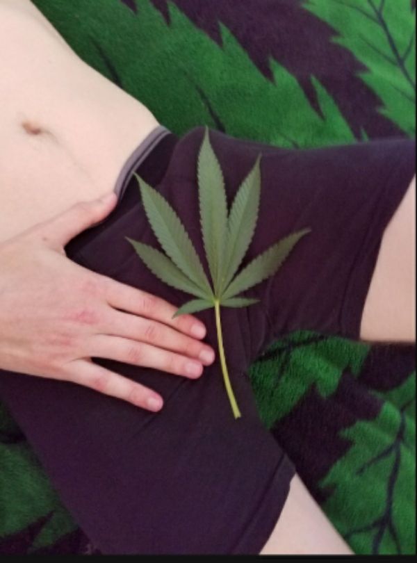 kusholicious OnlyFans profile picture