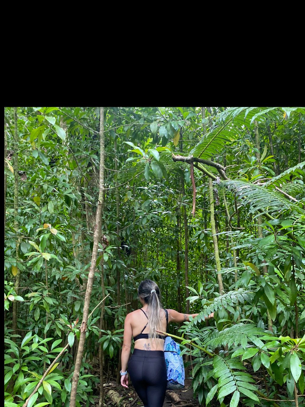 angiexlifree OnlyFans profile picture